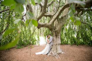 Elegant Bliss Wedding Photography - 6