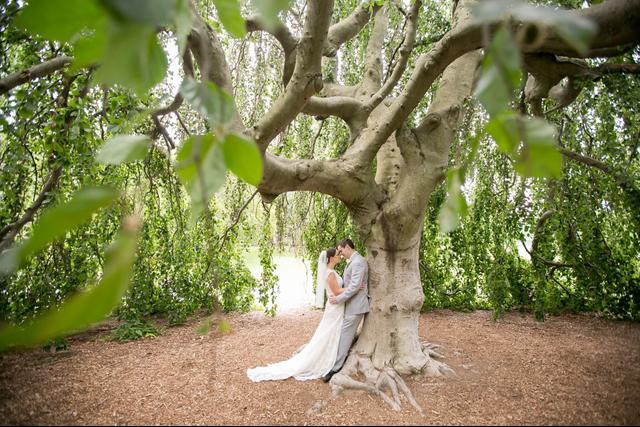 Elegant Bliss Wedding Photography - 2