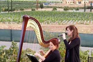 VeeRonna - Harpist - 11
