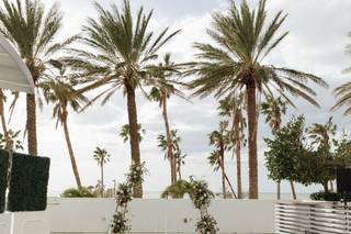 Jennie's Flowers of St. Petersburg - 7
