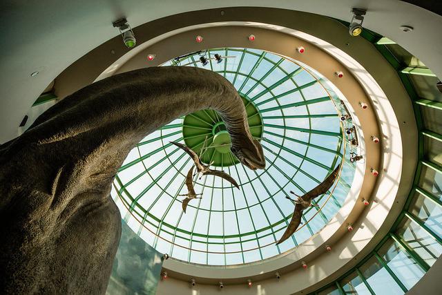 North Carolina Museum of Natural Sciences - 3
