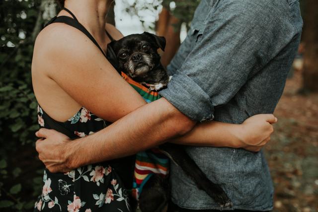 Meghann Prouse, Indie Photographer - 4