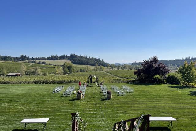 Zenith Vineyard 4