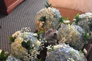 Cottage Rose Floral Design - 10