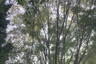 Ridgeland Mansion - 7