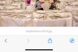 Bellisario Florist - 7