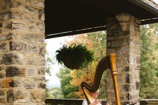 Debbie Beck - Harpist - 5