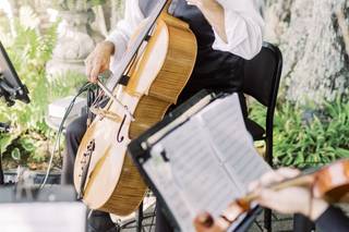 SUMMIT Strings - 55