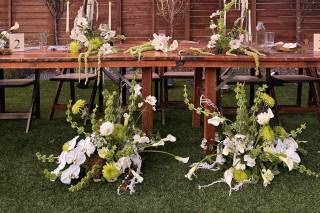 Kimball Floral - 7