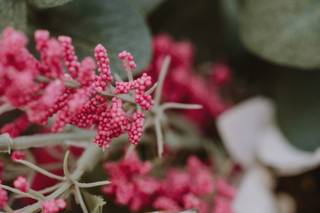 Russell-Killen Photography - 7