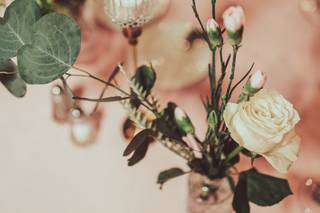 James Lester Photography - 15