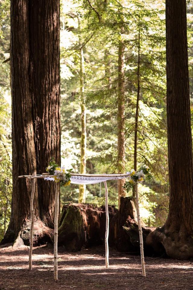 Drew Bird Photography - 2