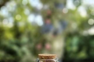 Reflections Wedding Officiant - 25