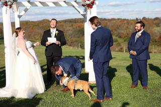 Oh Snap Photography LLC - 14