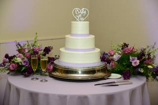 Alisa Fineman Wedding Officiant, Celebrant - 9