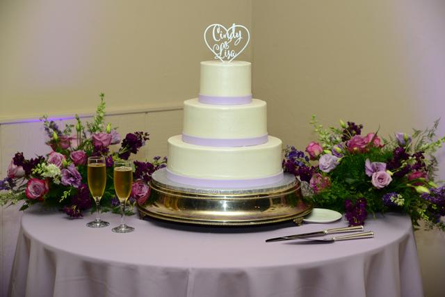 Alisa Fineman Wedding Officiant, Celebrant - 4