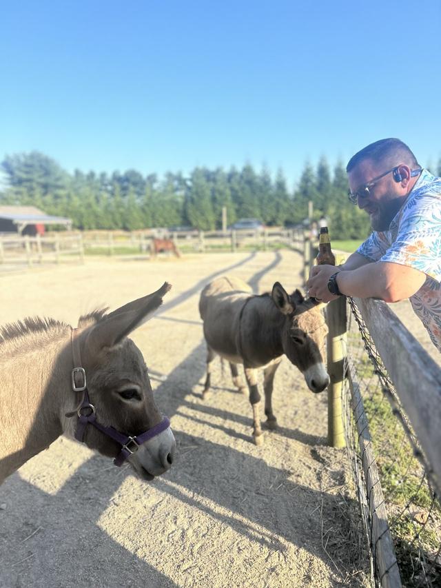Nuzzo's Farm - 2