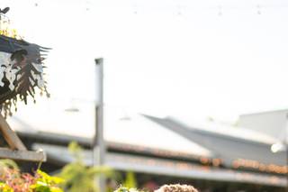 John Barone Photography - 22