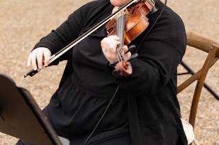 J&K Strings - 15