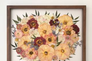 White Poppy Preservation - 62