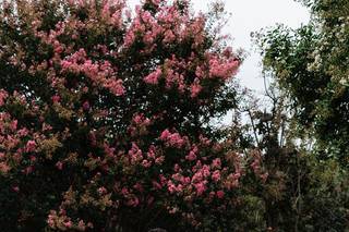 Samantha Leto Photography - 5