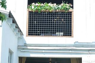 East Lynn Farm - 28