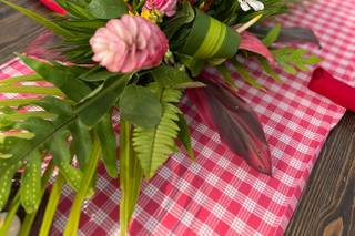PABBBI Tropicals - 14