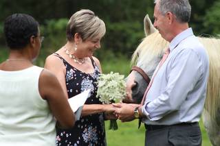 Weddings Quick and Sweet - 6