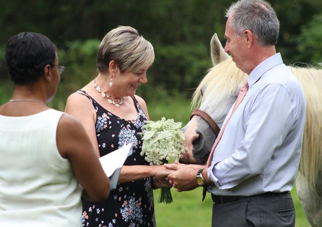 Weddings Quick and Sweet - 1