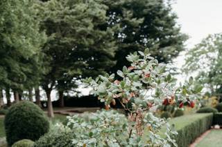 Bloom. Creative Floral & Events - 6