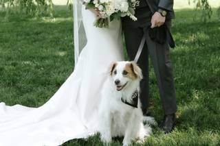 Bliss Events - 4