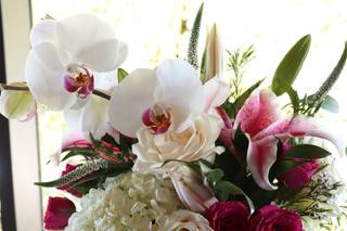 Bella Blue Floral Design - 12