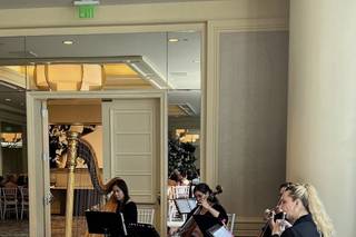 Elegant Musicians, LLC. - 4