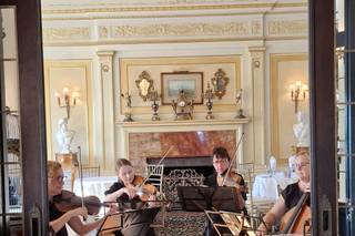 Harmony Strings - 5