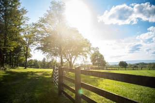 Cassondre Mae Photography - 26