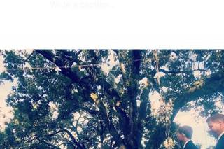 Live Oak Plantation - 8