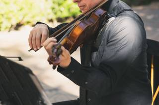 OC Strings - 7