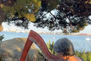 Magical Harps by Amy Lynn Kanner - 5