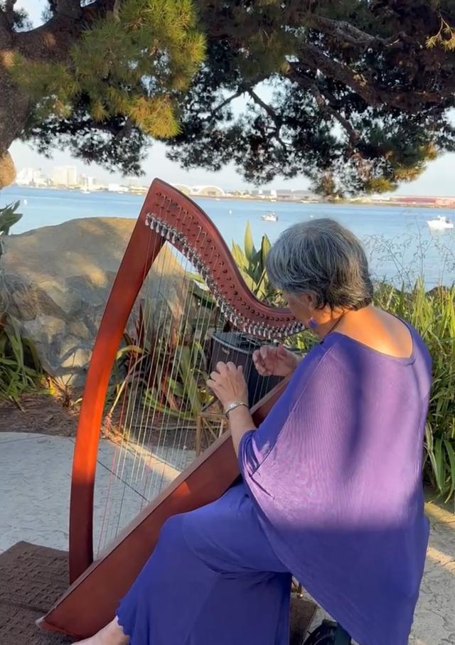 Magical Harps by Amy Lynn Kanner - 2