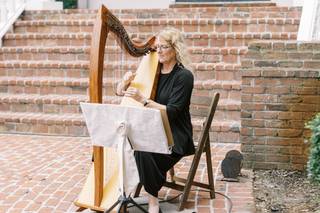 Kim Perkins Knoxville Harpist - 5