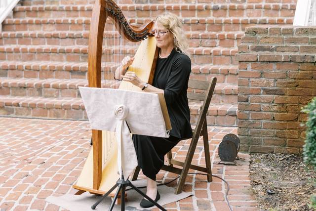 Kim Perkins Charleston Harpist 1