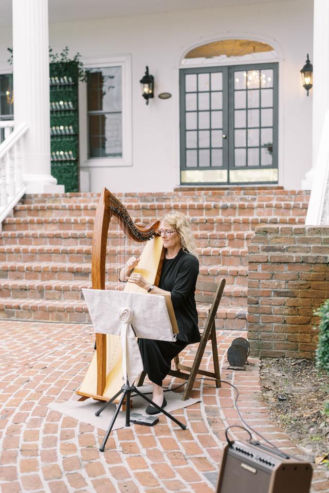 Kim Perkins Knoxville Harpist - 1