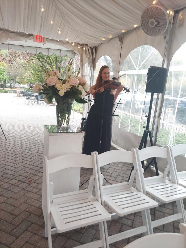 Amanda - Violinz - 2