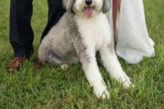 MasterPiece Weddings - 6