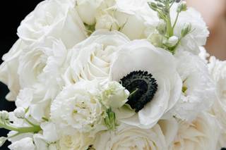 Adore Floral - 7