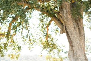 Antonia Christianson Events - 27