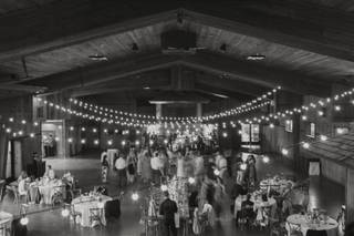Cheers Wedding Planning - 5