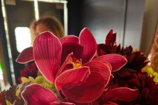 Karla Cassidy Designs - 6