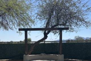 Palm Valley Golf Club - 9