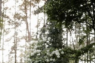 Taylor Howard Photography - 6